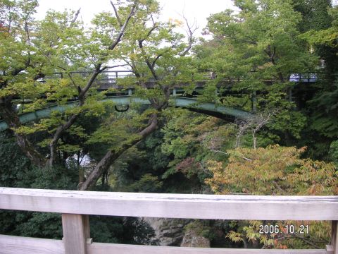 s_PICT0011.jpg